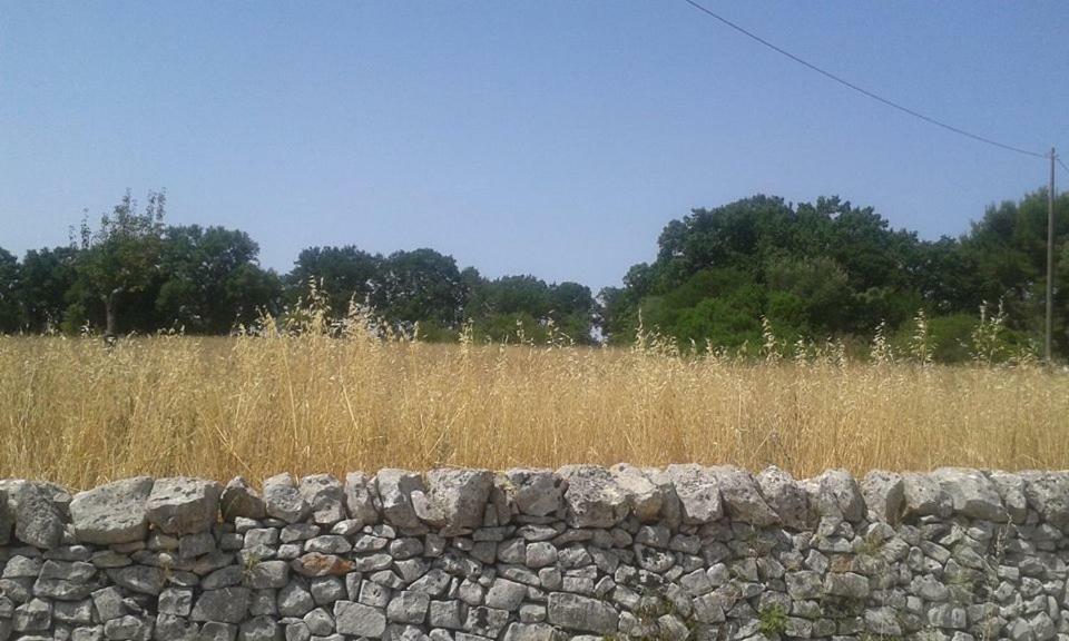 Trullo Le Tre Sorelle Cisternino Εξωτερικό φωτογραφία